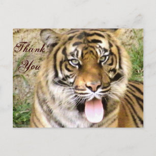 Carte Postale Merci_
