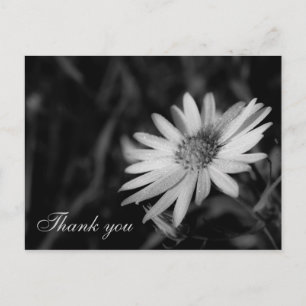 Carte Postale Merci