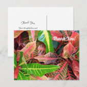 Carte postale Merci 3253 avec feuilles (Devant / Derrière)