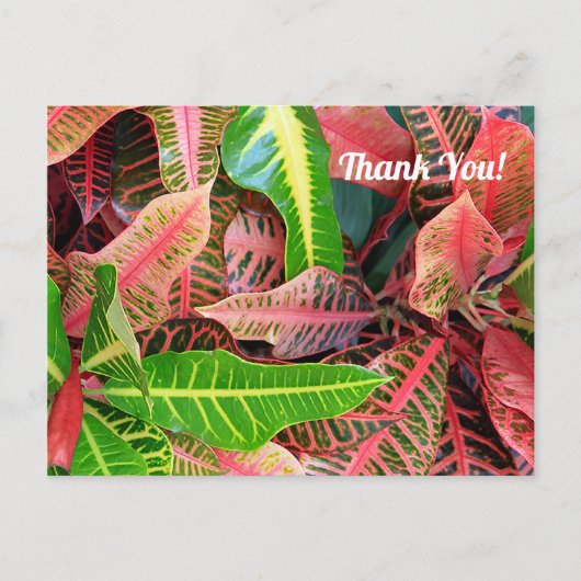 Carte postale Merci 3253 avec feuilles (Devant)