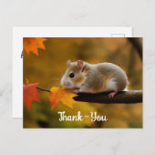 Carte postale Merci à la belle hamster (Devant / Derrière)