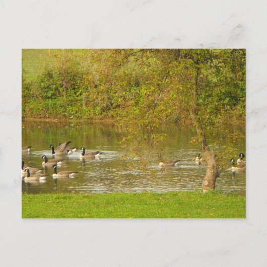 Carte Postale Merci à un soldat. (Devant)