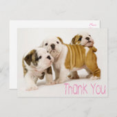 Carte Postale Merci Anglais Chiens de Chien De Chien De Chien De (Devant / Derrière)