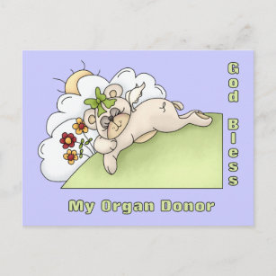 Carte Postale Merci au donateur d'organe