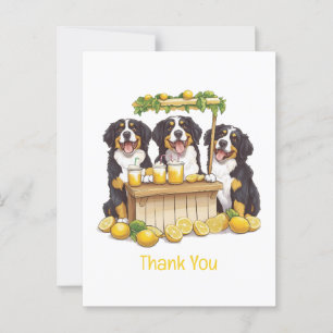 Carte Postale Merci aux Bernese Mountain Dogs Stand de Lemonade