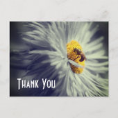 Carte postale Merci avec un gros plan d'abeille su (Devant)