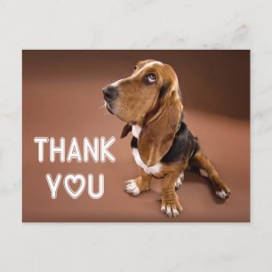 Carte Postale Merci Basset Hound Chien Chien Chien Chien Brown
