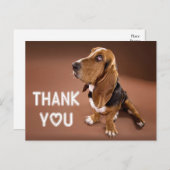 Carte Postale Merci Basset Hound Chien Chien Chien Chien Brown (Devant / Derrière)
