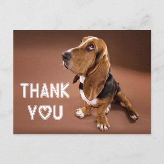 Carte Postale Merci Basset Hound Chien Chien Chien Chien Brown (Devant)