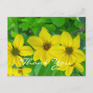 Carte Postale merci bénévole jolies fleurs jaunes