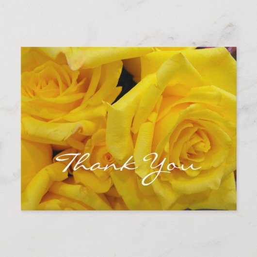Carte Postale merci bénévolement fleurs de rose jaune (Devant)