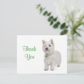 Carte Postale Merci blanc Westie Chien Chien Chien Salutation Ca (Debout devant)