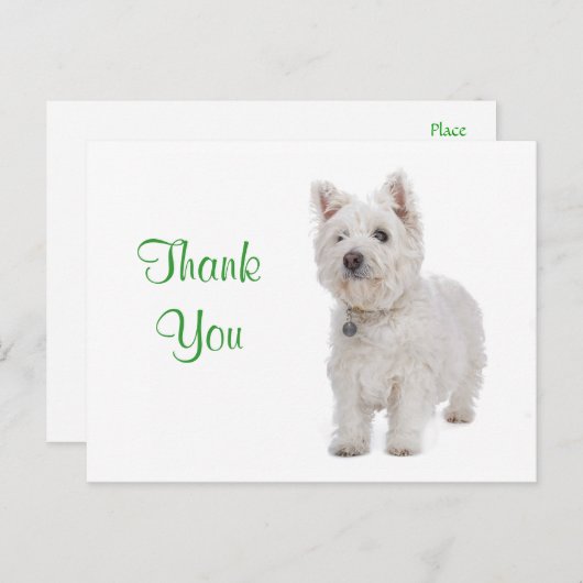 Carte Postale Merci blanc Westie Chien Chien Chien Salutation Ca (Devant / Derrière)