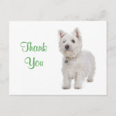 Carte Postale Merci blanc Westie Chien Chien Chien Salutation Ca (Devant)