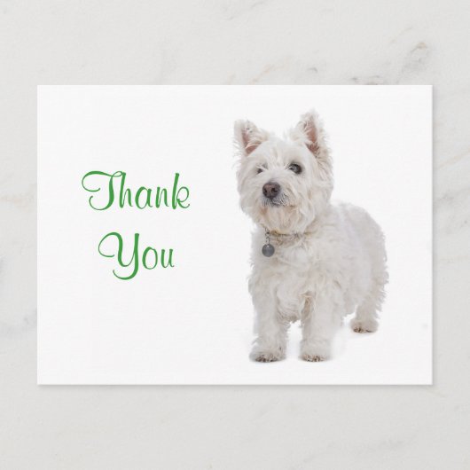 Carte Postale Merci blanc Westie Chien Chien Chien Salutation Ca (Devant)