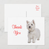 Carte Postale Merci blanc Westie Chien Chien Chien Salutation Ca (Devant / Derrière)