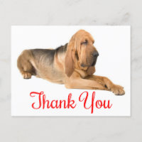 Carte postale Merci Bloohound Chien Chien