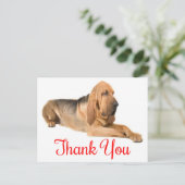 Carte postale Merci Bloohound Chien Chien (Debout devant)