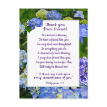 Merci Blue Hydrangea