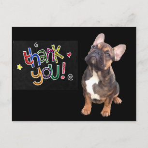 Carte Postale Merci Bouledogue Français French Bulldog