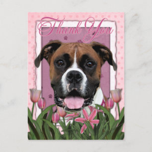 Carte Postale Merci - Boxer - Vindy