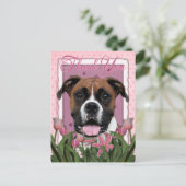 Carte Postale Merci - Boxer - Vindy (Debout devant)