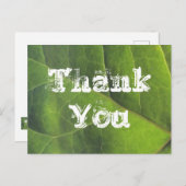 Carte Postale Merci Bright Green Leaf Nature Appréciation (Devant / Derrière)
