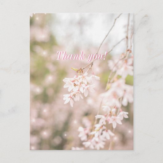 Carte Postale Merci Bright Weeping Cherry Sparkles (Devant)