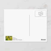 Carte postale Merci Bumblebee (Dos)