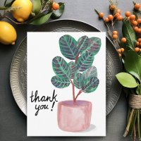 Merci Calathea Prayer Plant Aquarelle
