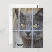 Carte Postale Merci ! Chat (Devant / Derrière)