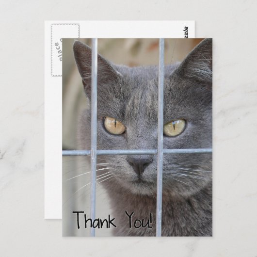 Carte Postale Merci ! Chat (Devant / Derrière)