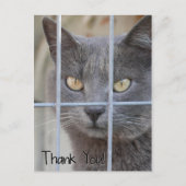 Carte Postale Merci ! Chat (Devant)