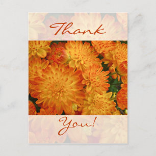 Carte Postale Merci - Chrysanthèmes orange de feu