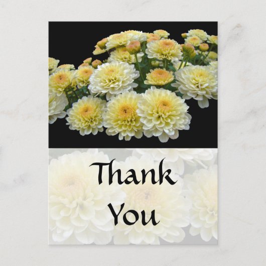 Carte Postale Merci - Citron Meringue Chrysanthèmes (Devant)