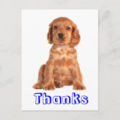 Carte postale Merci Cocker Spaniel Chien Chien Chi (Devant)