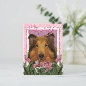 Carte Postale Merci - Collie - Natalie (Debout devant)