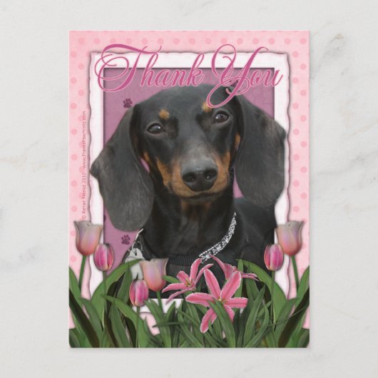 Carte Postale Merci - Dachshund - Winston (Devant)