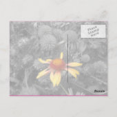 Carte postale Merci de cancer du sein rose ruban (Dos)