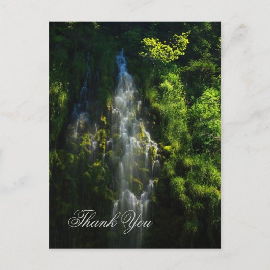 CARTE POSTALE MERCI DE CASCADE (Devant)