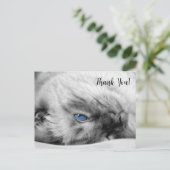 Carte Postale Merci de chat bleu siamois (Debout devant)