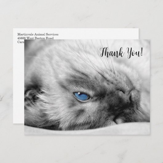 Carte Postale Merci de chat bleu siamois (Devant / Derrière)