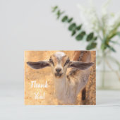 Carte postale Merci de chèvre (Debout devant)