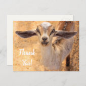 Carte postale Merci de chèvre (Devant / Derrière)