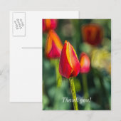 Carte postale Merci de jardin de Tulip texturé (Devant / Derrière)