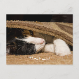 Carte Postale Merci de jouer sous le tapis