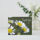 Carte Postale Merci de marguerites blanches (Debout devant)