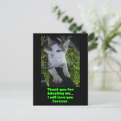 Carte Postale Merci de m'avoir adoptée..je t'aimerai pour toujou (Debout devant)