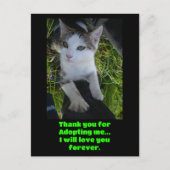 Carte Postale Merci de m'avoir adoptée..je t'aimerai pour toujou (Devant)