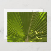 Carte Postale Merci de palme tropical (Devant / Derrière)